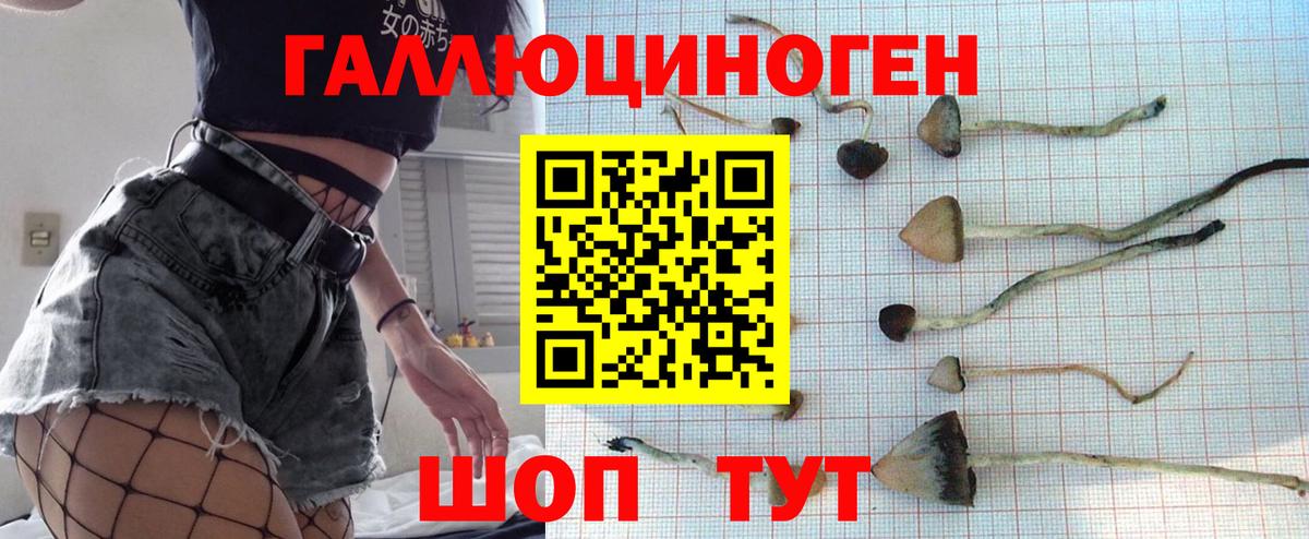 купить закладку  Вход с VPN  Буйнакск  Галлюциногенные грибы Magic Shrooms 